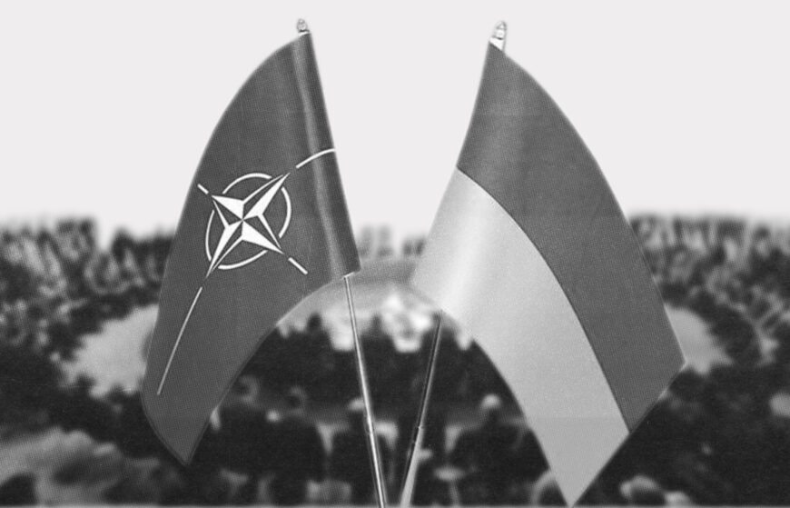 Звернення українських громадських організацій до лідерів НАТО напередодні Вільнюського саміту