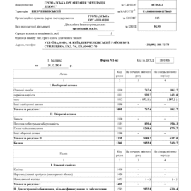 Фінансовий звіт 2024