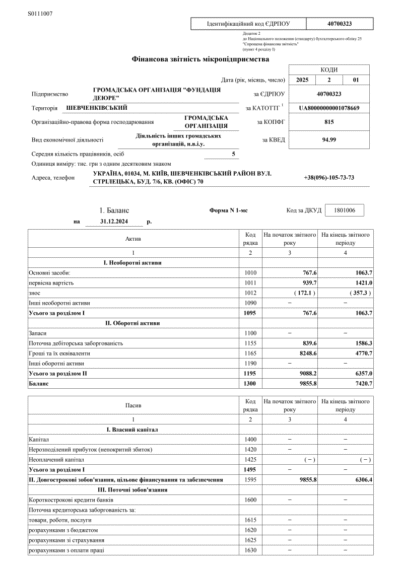 Фінансовий звіт 2024